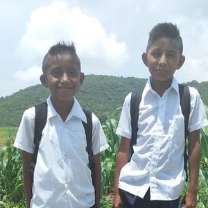 Meet your Posher, Rosyta